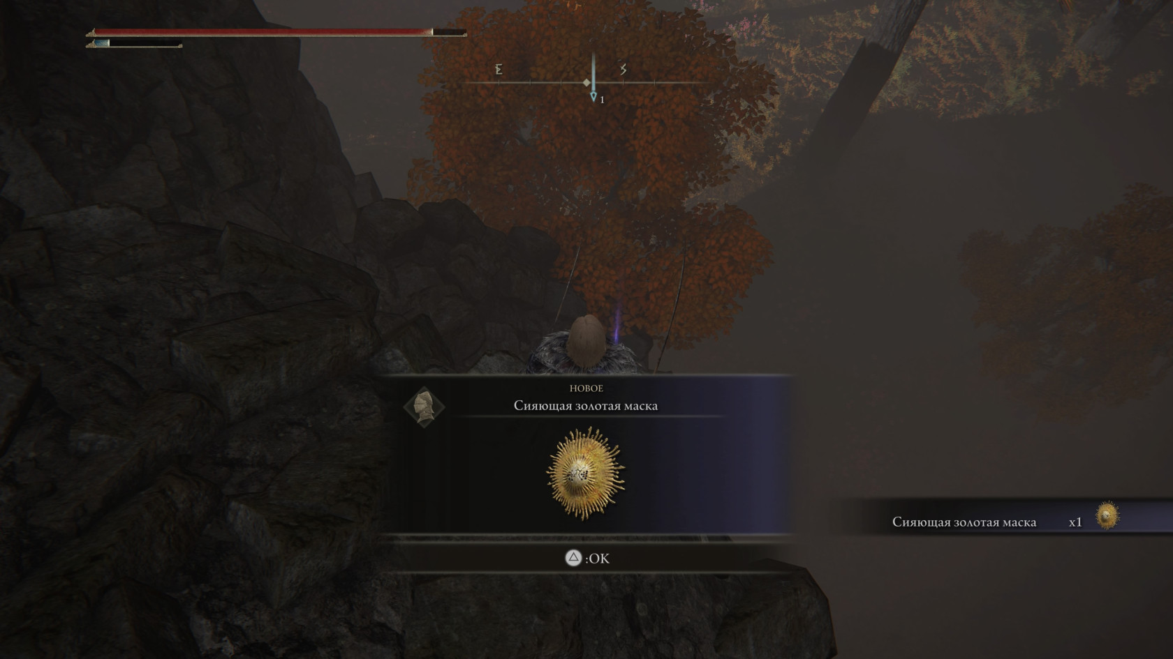 ELDEN RING™_20240525152132.jpg