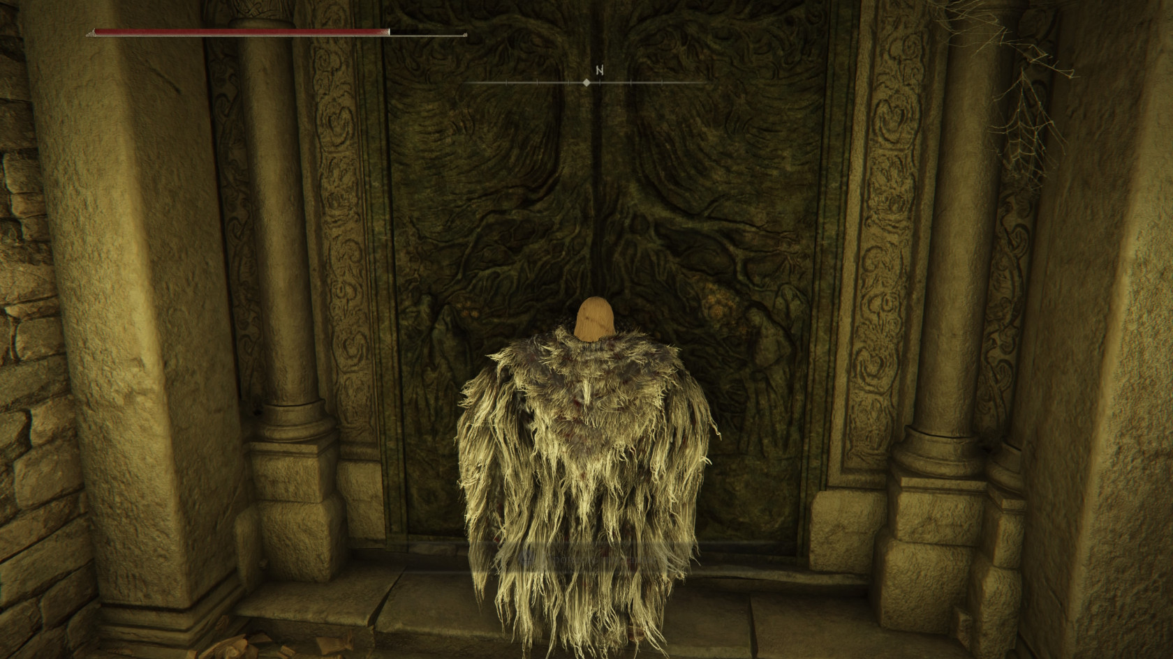 ELDEN RING™_20240525165129.jpg