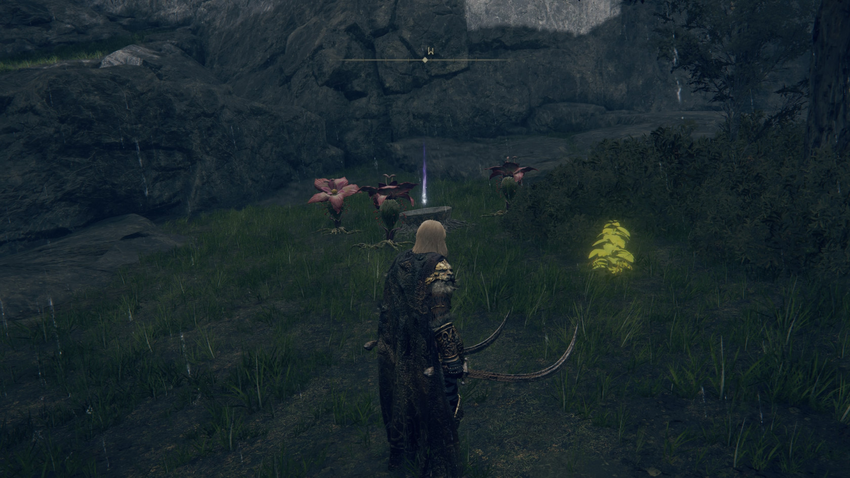 ELDEN RING™_20240527015843.jpg