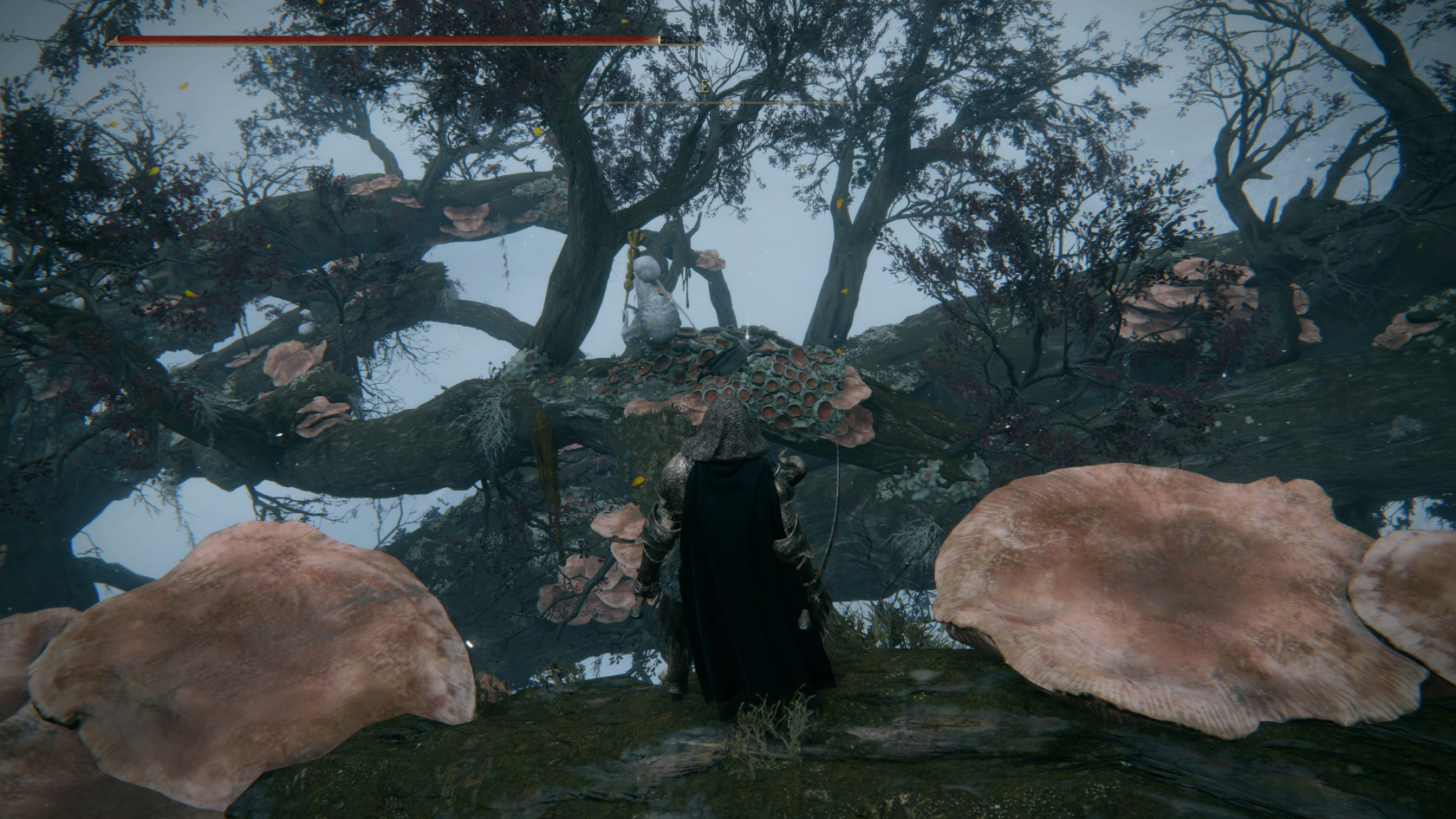 ELDEN RING™_20240613195704.jpg