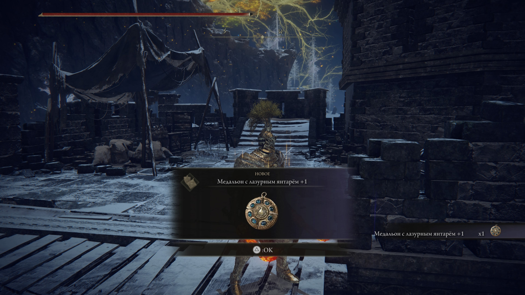 ELDEN RING™_20240613222655.jpg