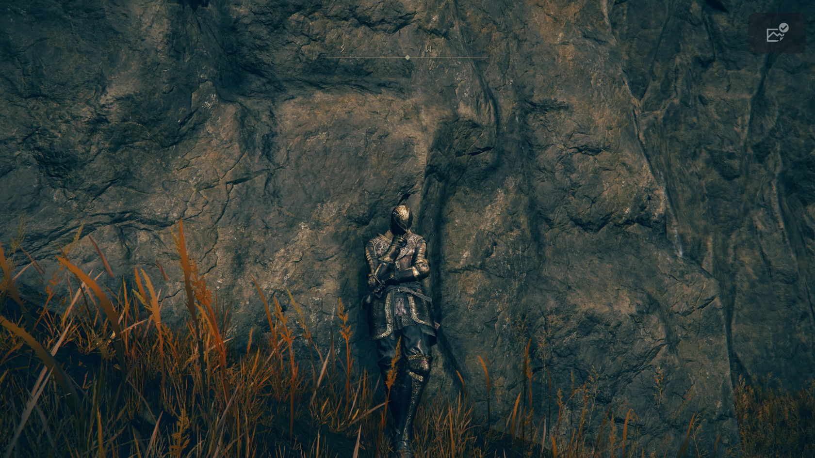 ELDEN RING™_20240714192225.jpg