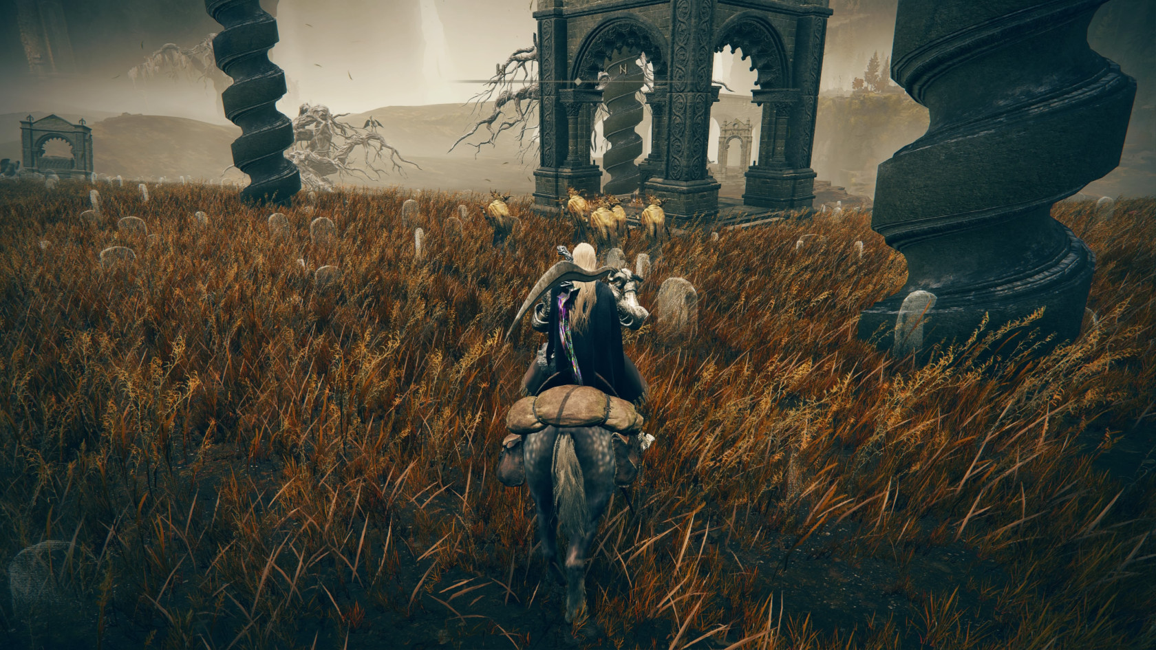 ELDEN RING™_20240714192854.jpg