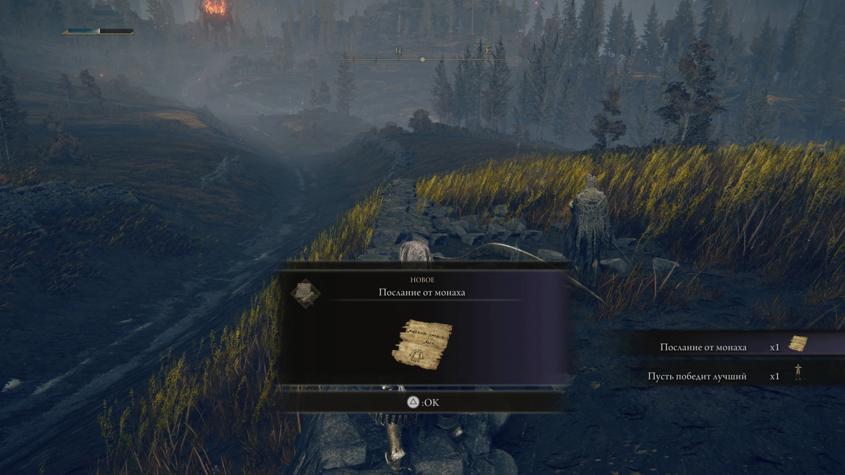 ELDEN RING™_20240715033823.jpg