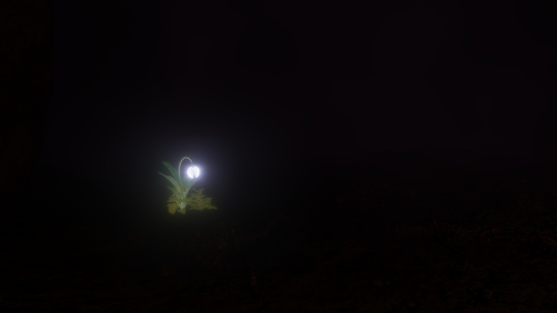 20240926074827_1.jpg